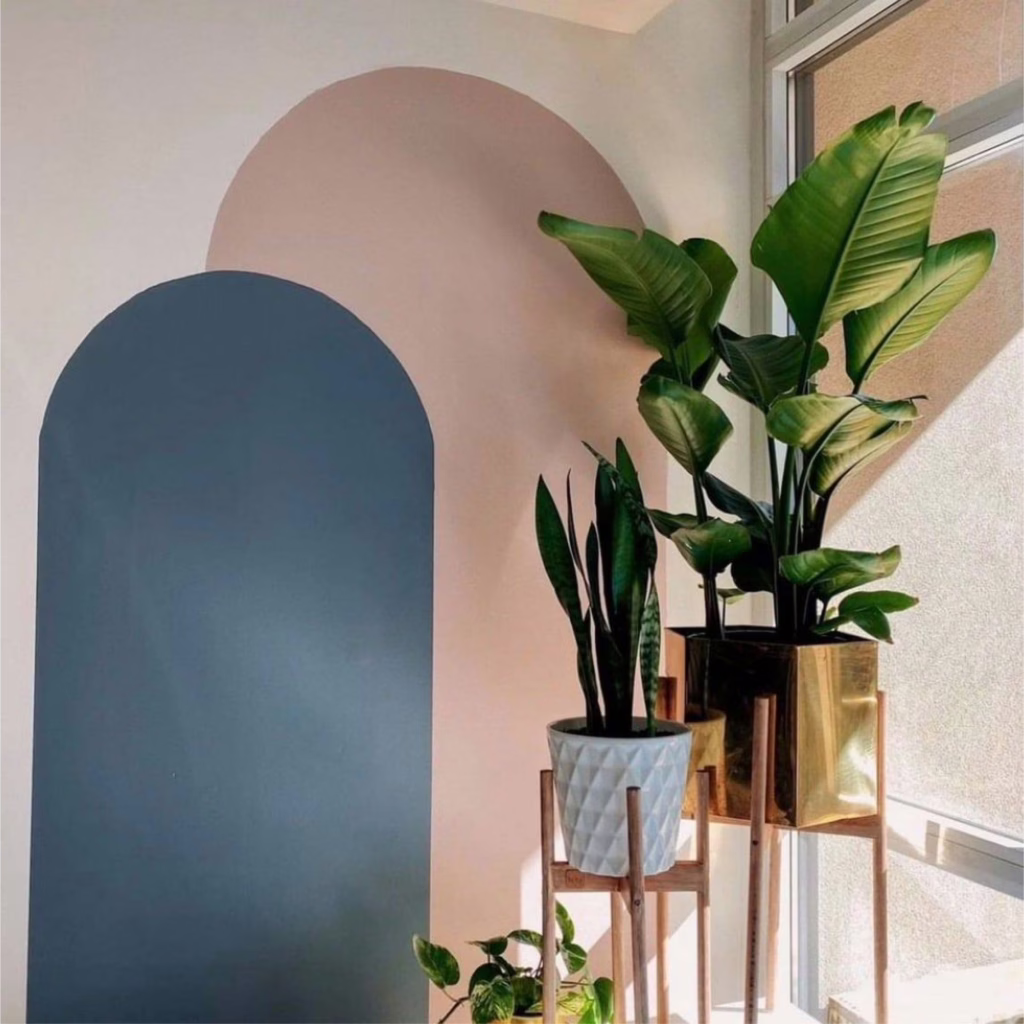 ไอเดีย DIY ทาสีผนังห้อง ด้วยสี Benjamin Moore ทาสีซุ้มโค้ง ผนังตกแต่ง