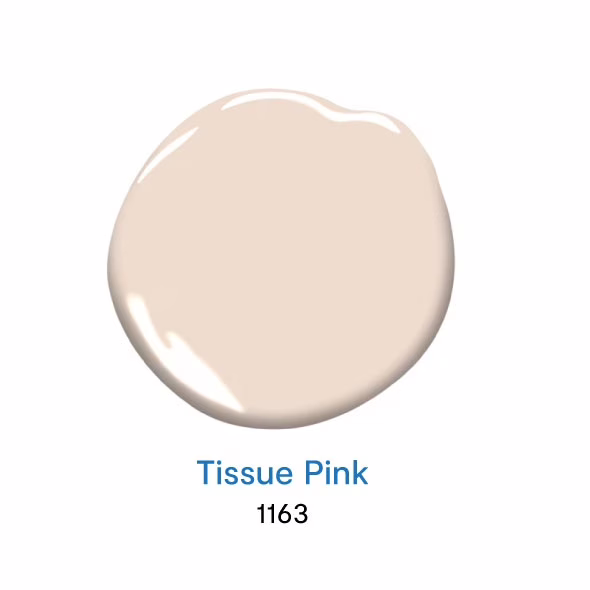 Tissue Pink 1163 สีทาบ้านโทนสีชมพู สีชมพูยอดนิยม จาก Benjamin Moore